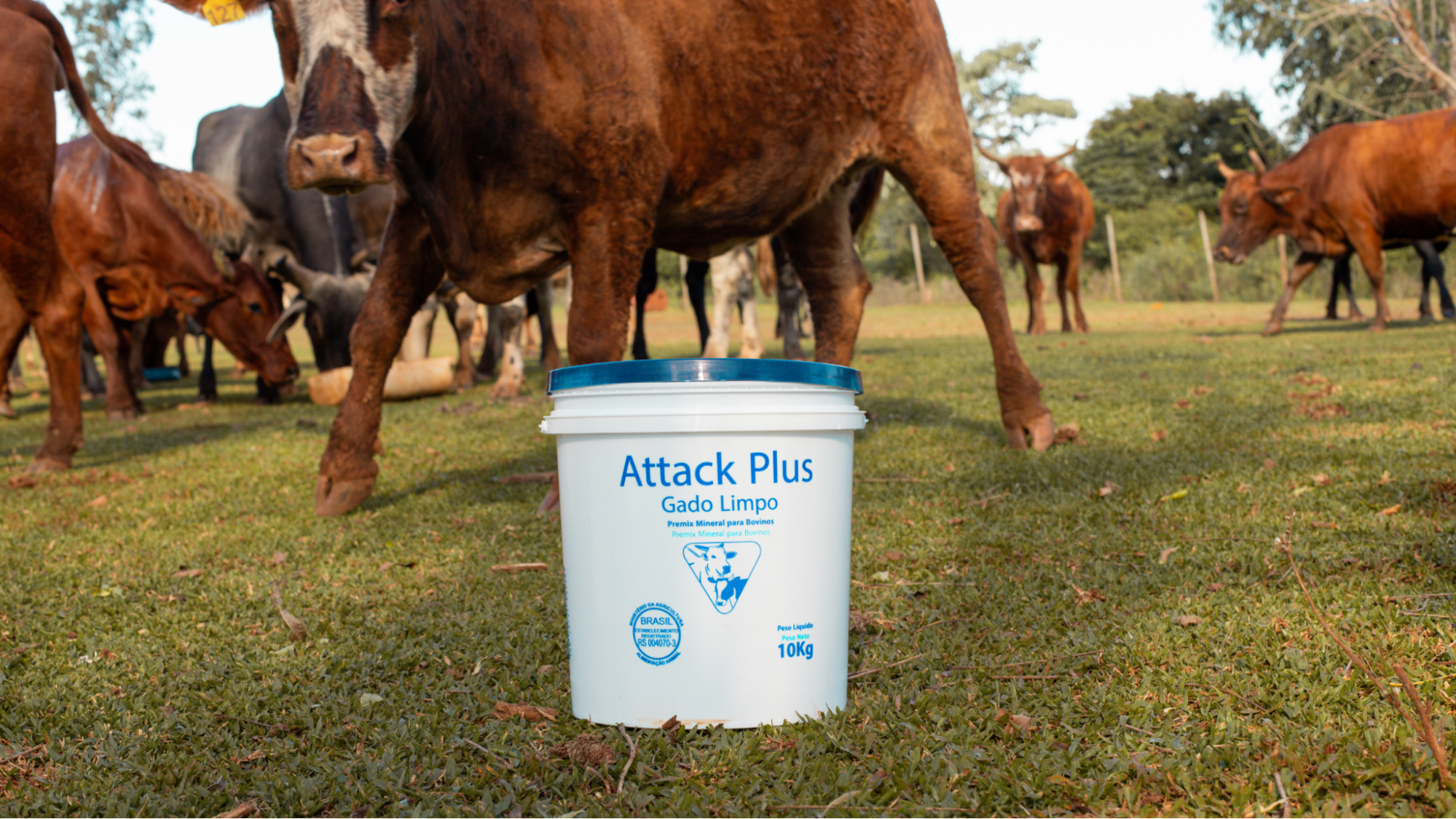 Pecuária leiteira: o que parasitas silenciosos estão tirando do seu lucro?
